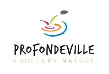 Profondeville logo